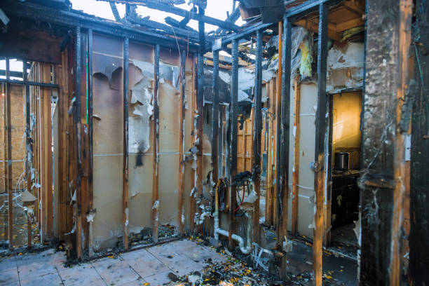 Professional Fire Damage Removal technician working in Chelsea Cove, NY